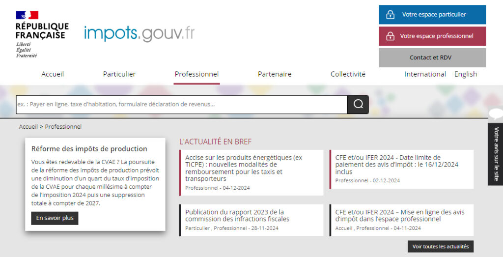 Page d'accueil du site des impôts dédié aux professionnels